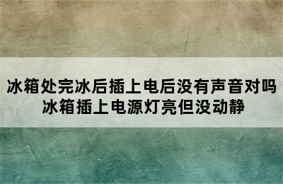 冰箱处完冰后插上电后没有声音对吗 冰箱插上电源灯亮但没动静